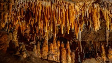Photo of Diferența dintre „stalagmite” și „stalactite”