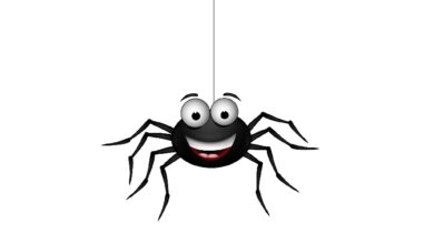 Photo of „păianjeni” sau „păienjeni”?