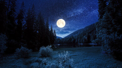 Photo of Crezi că frumuseţea naturii poate fi surprinsă cel mai bine noaptea sau ȋn timpul zilei? Motivează-ţi răspunsul ȋn 50-100 de cuvinte, valorificând unul dintre textele propuse