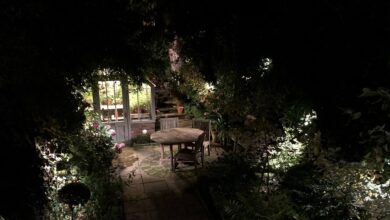 Photo of Imaginează-ți că ai petrecut o noapte ȋn grădina casei bunicilor. Redactează un text narativ, de cel puțin 150 de cuvinte, în care să prezinți peisajul și emoția/ emoțiile pe care le-ai trăit