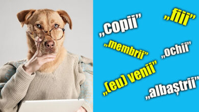 Photo of Cuvintele terminate în „ii” | Au sau nu diftong?